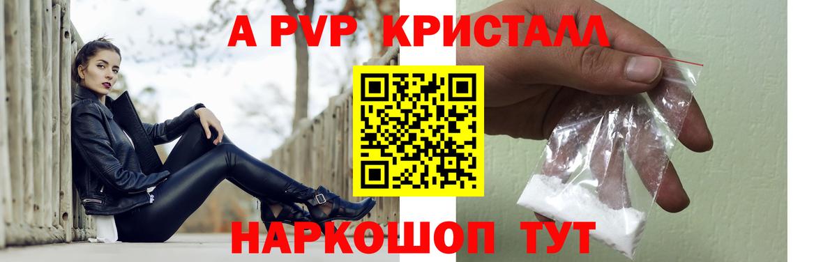 A-PVP СК КРИС Урус-Мартан